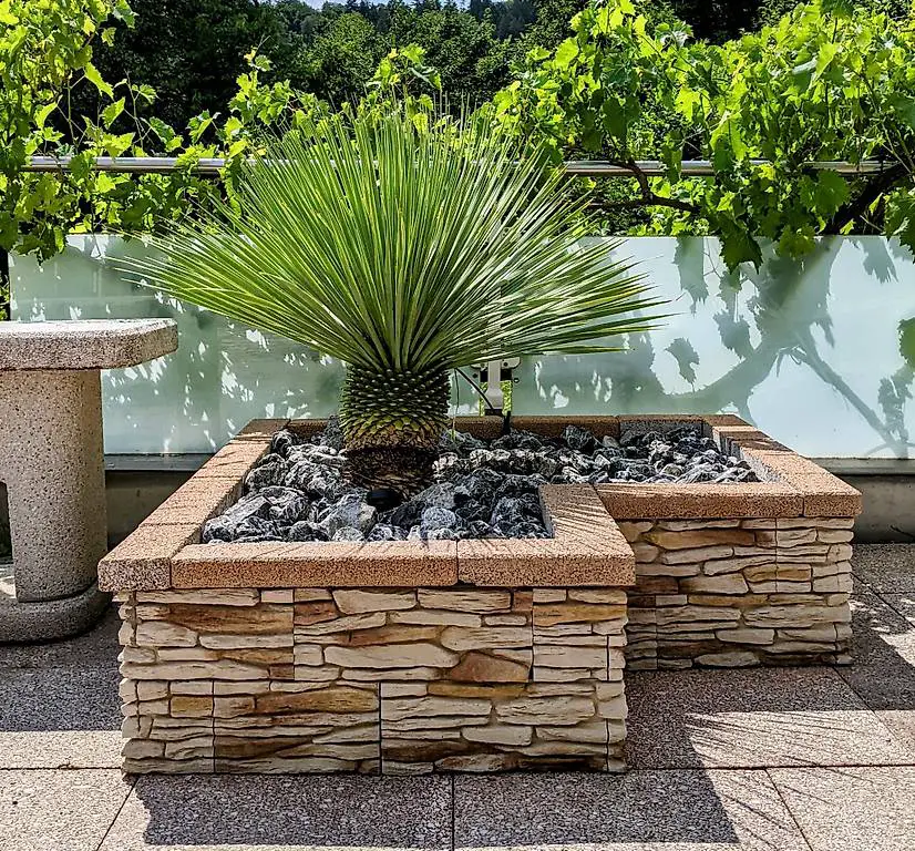 Töpfe & Rabatten aus Mauerverblender für Terrasse und Garten