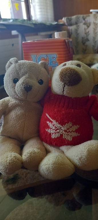 zwei Bärenplüschtiere