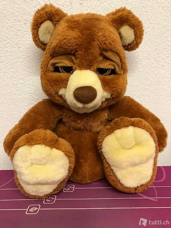 Peluche orso Bruno