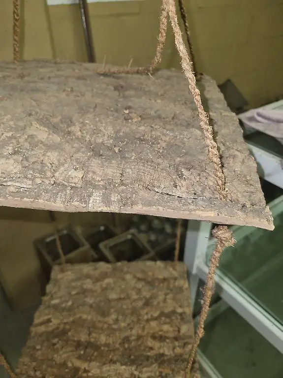 Hängeregal Regal Deko Holz