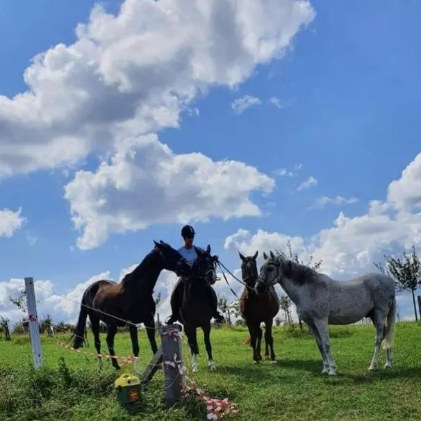 Reitbeteiligung für meine Pferde, Kanton Solothurn