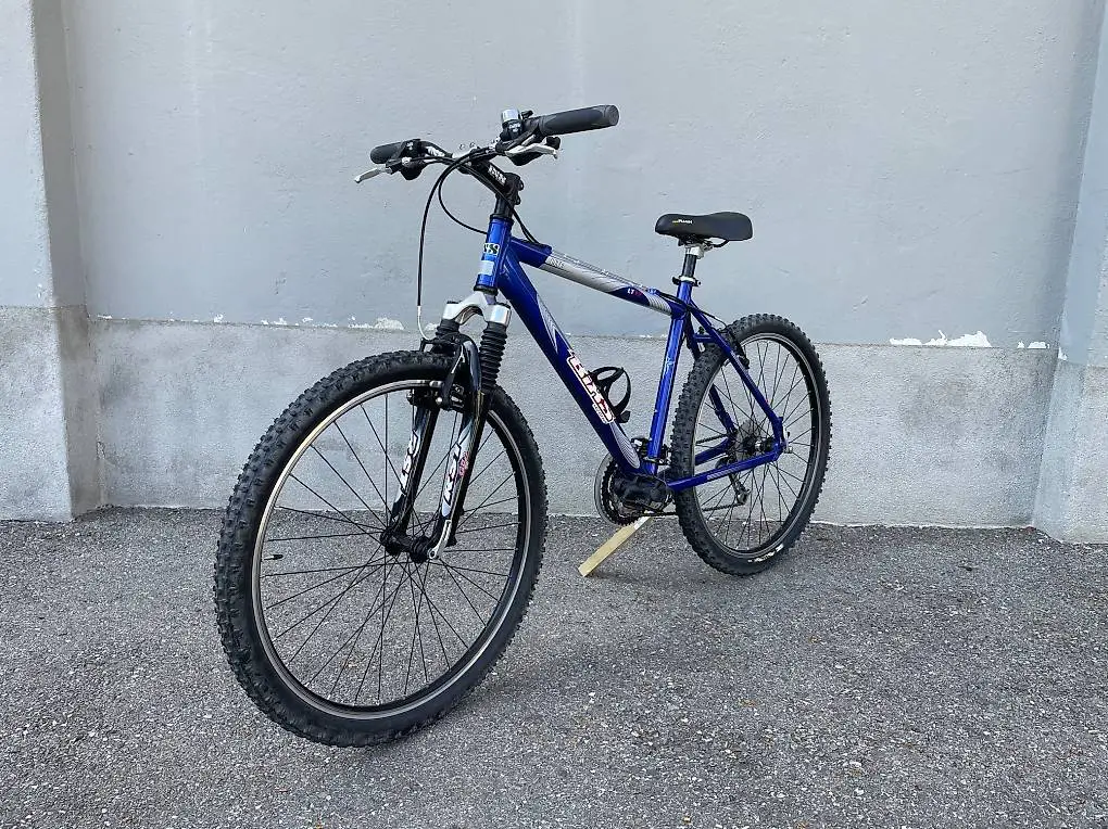 Bixs Mountainbike/Fahrrad - Ab Service