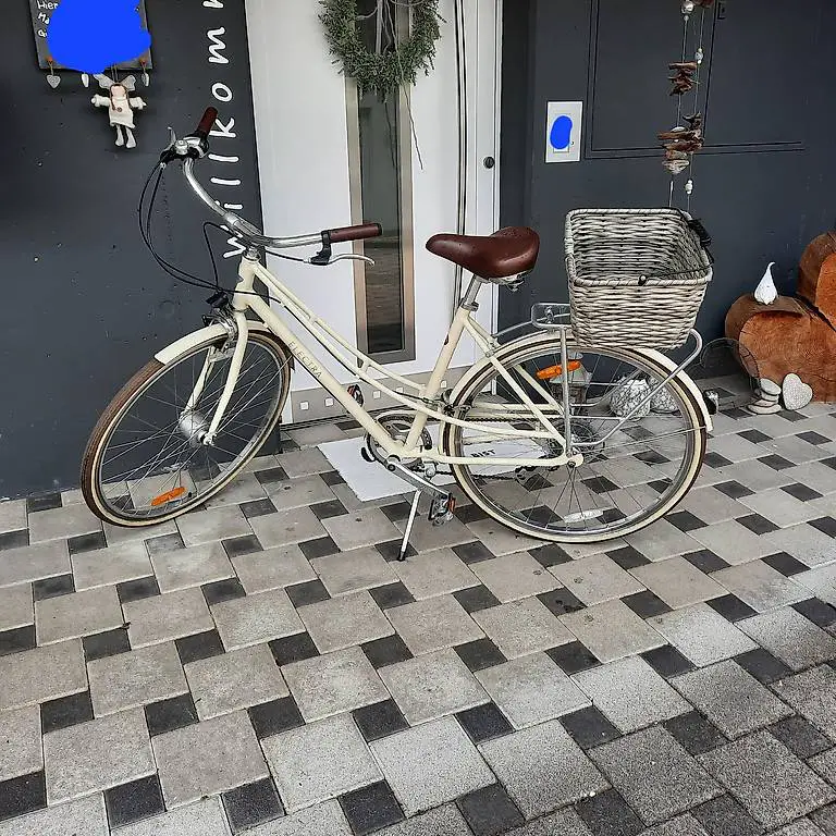 Trek Elektra Citybike