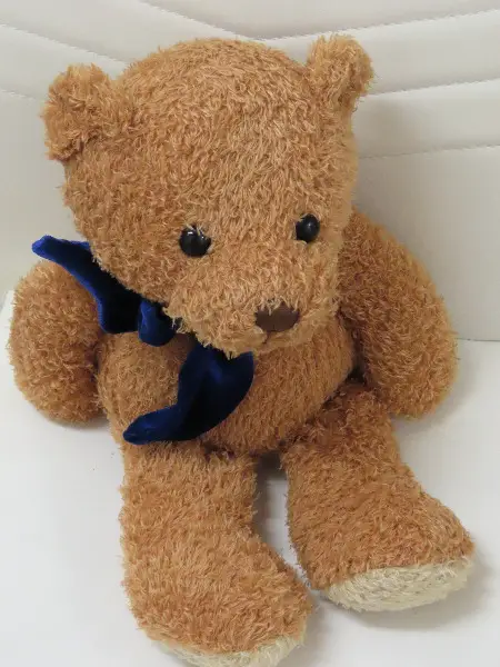 Neuer Teddy