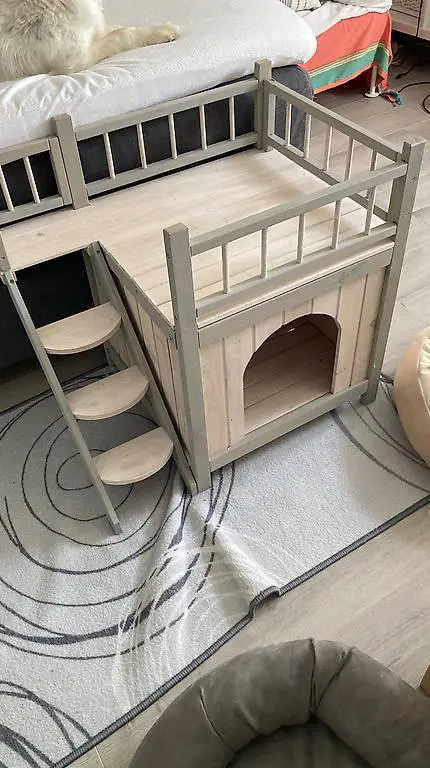 Katzenhaus mit Treppe