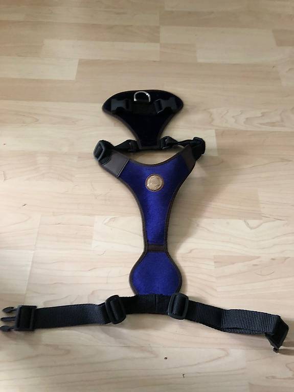 Hundegeschirr von carolina corrodi