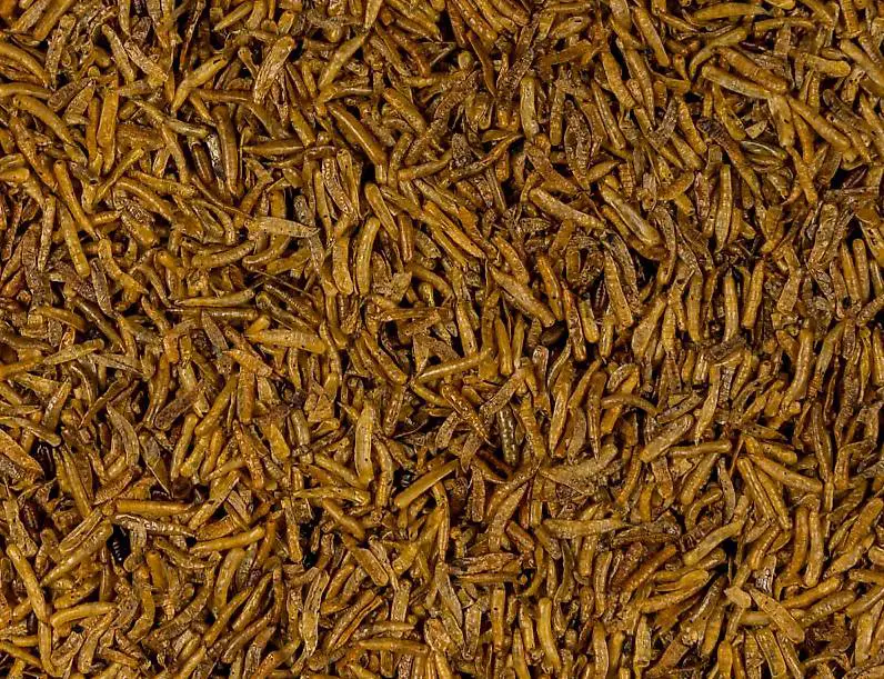 Fliegenlarven getrocknet 300g