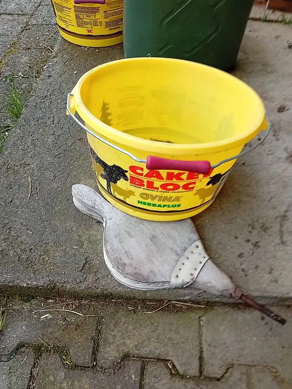 Eimer zu verschenken