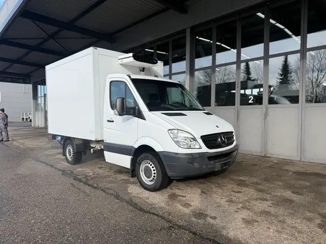 MERCEDES-BENZ, Sprinter 316 CDI, Kühlfahrzeug