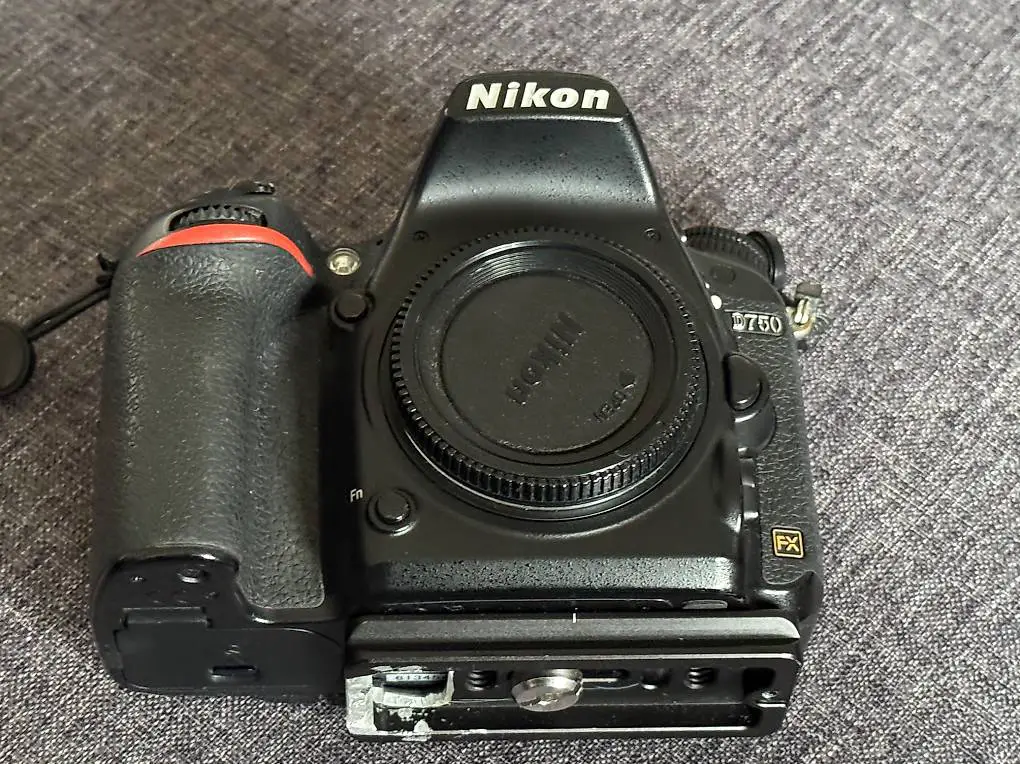 Nikon D750 24 MP Full-Frame, 6.5 FPS