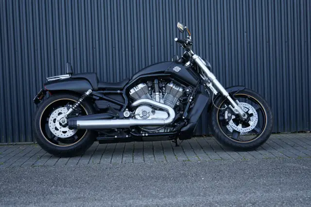 harley-davidson vrscf 1250 v-rod muscle