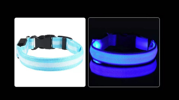 LED Leuchthalsband / Hundehalsband