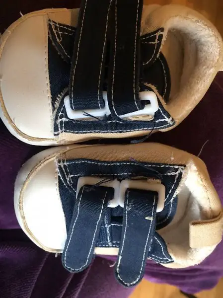 baby finken ca. 3-6 mt.