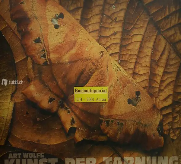 Sleeper / Wolfe, Kunst der Tarnung