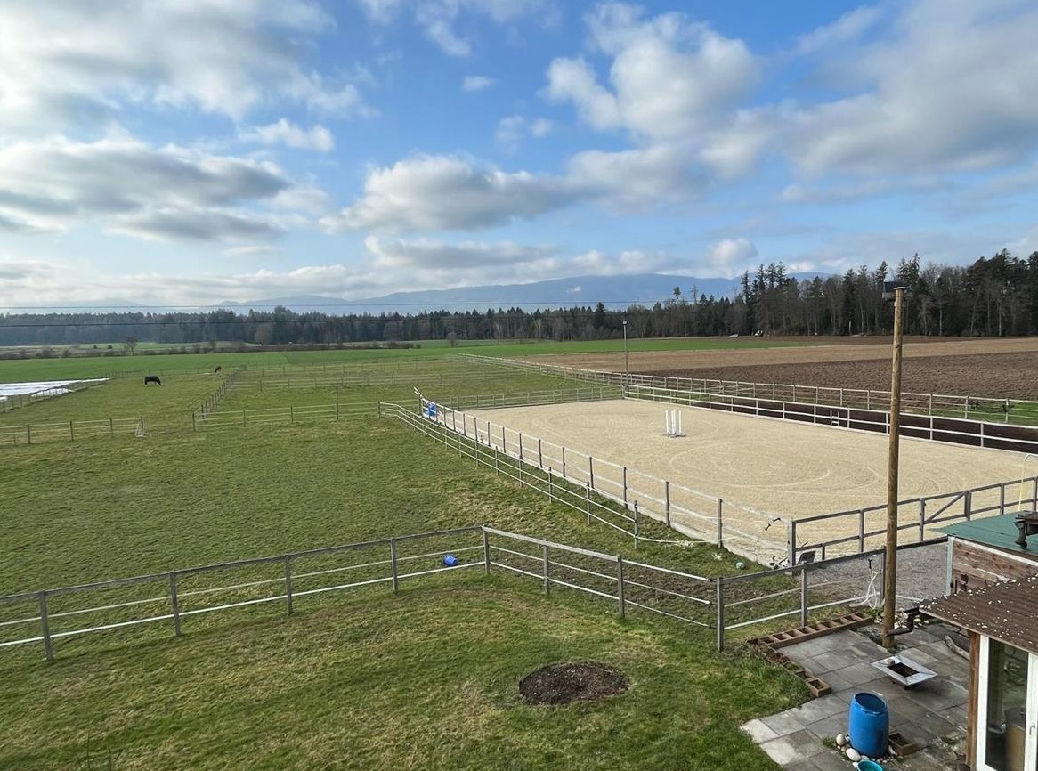 Reitbeteiligung auf KWPN Wallach, Kanton Bern
