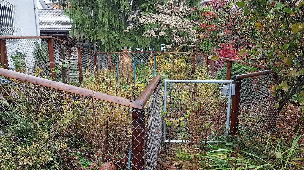 Maschendrahtzaun mit Rohrrahmentor (Lärche, 25 Laufmeter)