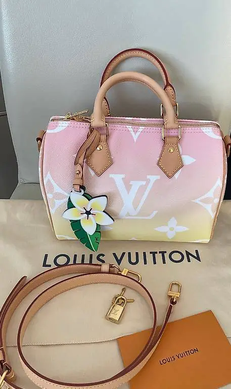 Louis Vuitton Speedy 25 The Pool Rose