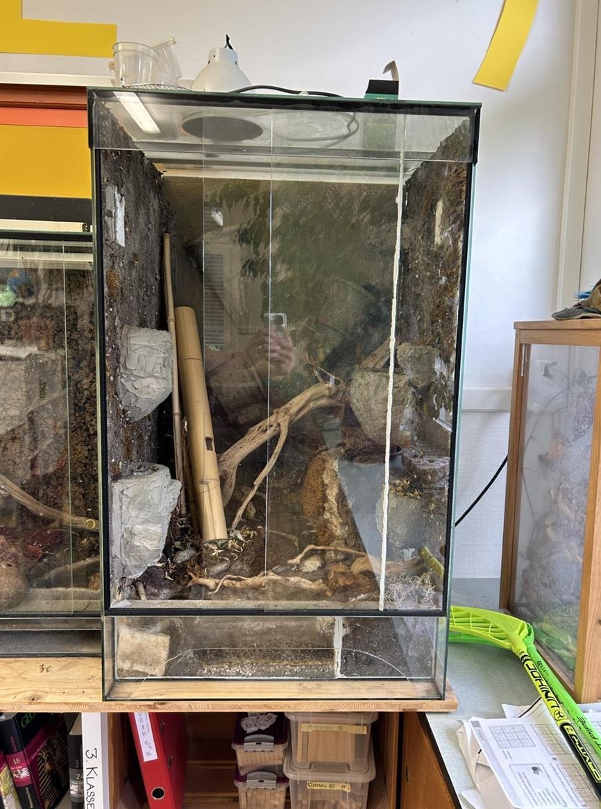 Glas-Terrarium 60x100x60cm für Frösche, Taggeckos, ...