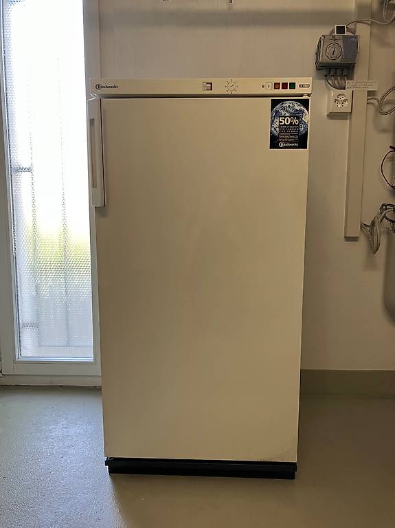 Gefrierschrank Bauknecht