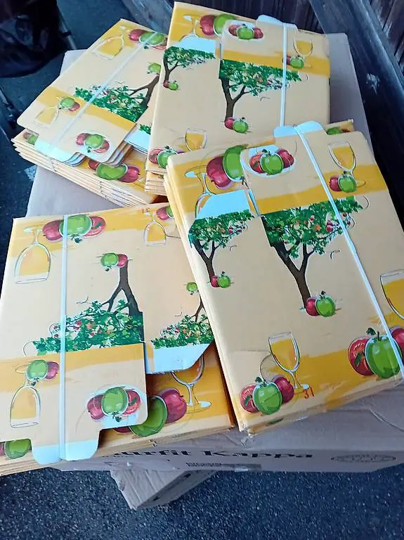 Bag-in-Box Karton 3L 30 Stück