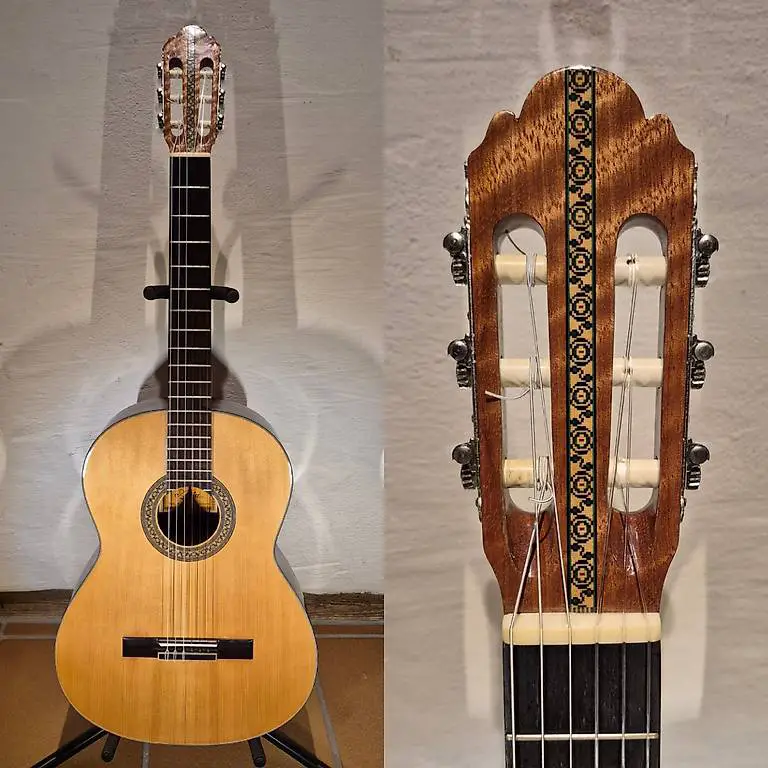 Akustik Gitarre Aria A-586