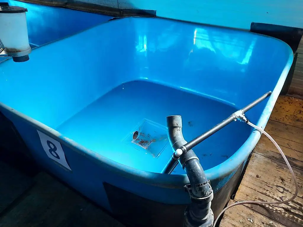 GFK Becken, Sauerstoffanreicherungsanlage