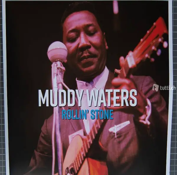 DLP MUDDY WATERS rollin" stone