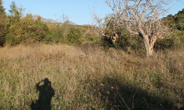 Erschlos. Baugrund ab 1000m2 Direkte Strand 1400m.