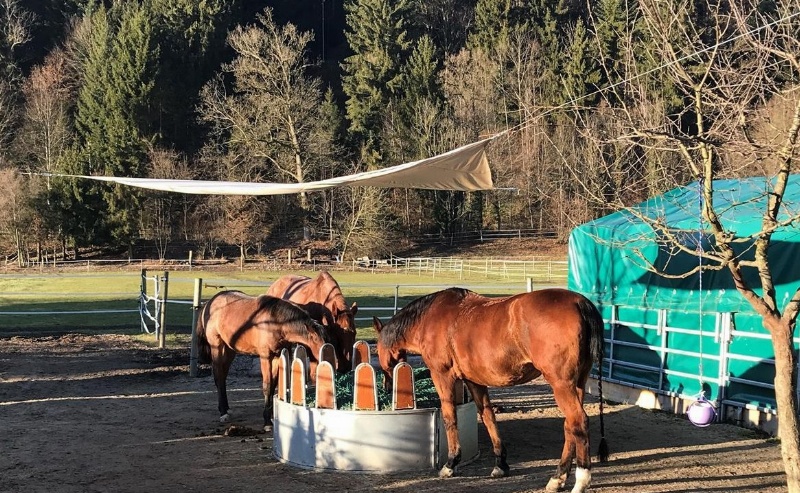 Heuraufe / Rundraufe zu verkaufen