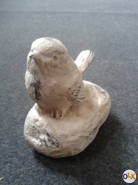 Singvogel ruhig und schön