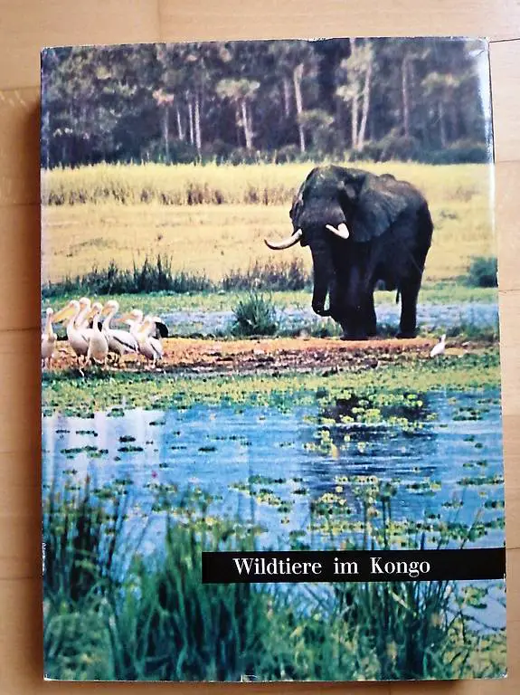 Wildtiere im Kongo