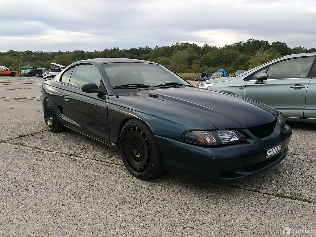 Ford Mustang SN95 Windschutzscheibe und Heckscheibe