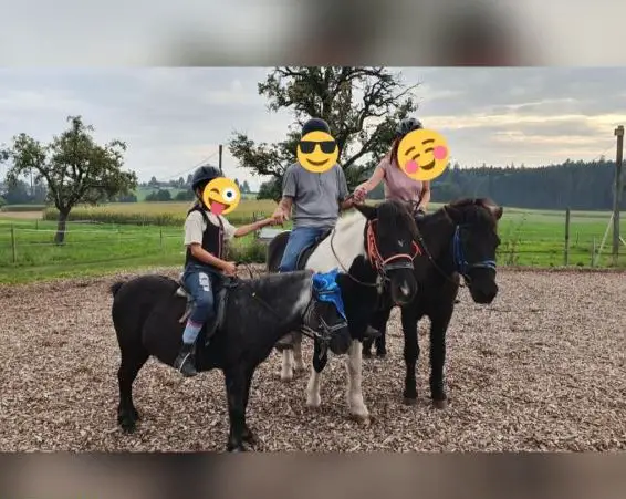 Ferienkurse /Tageskurse für Kinder auf dem Ponyhof ZG