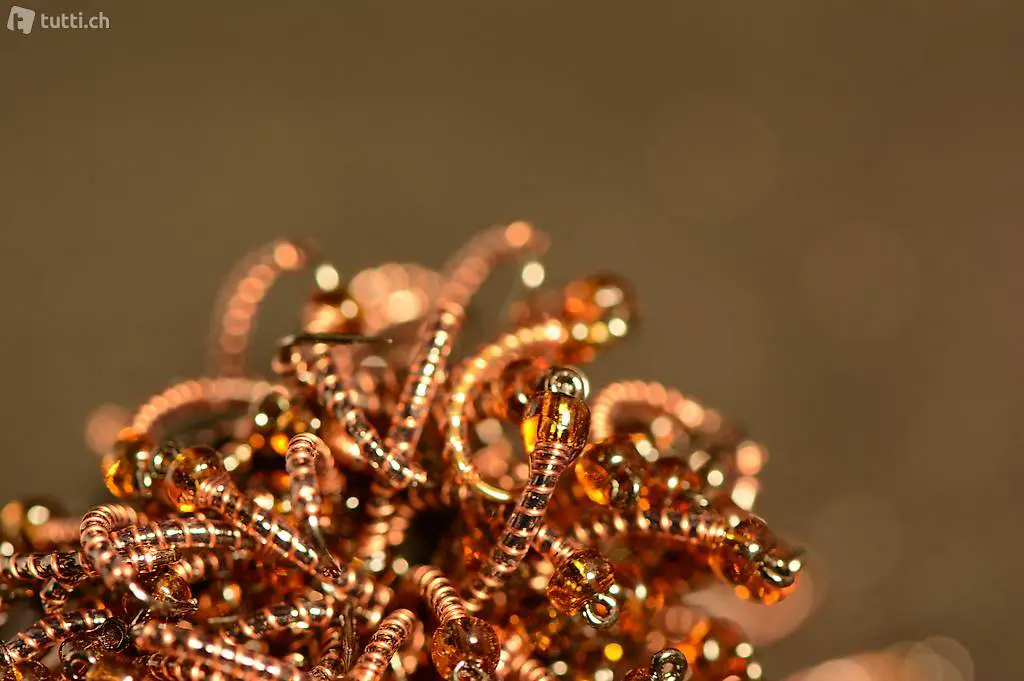  D2 - Egli- und Felchen-Hegene