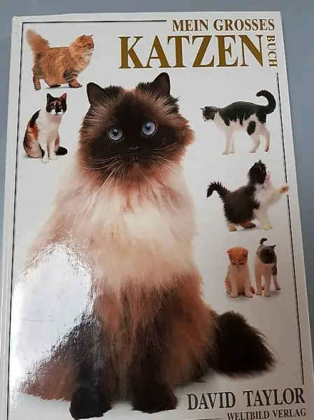 Katzenbuch