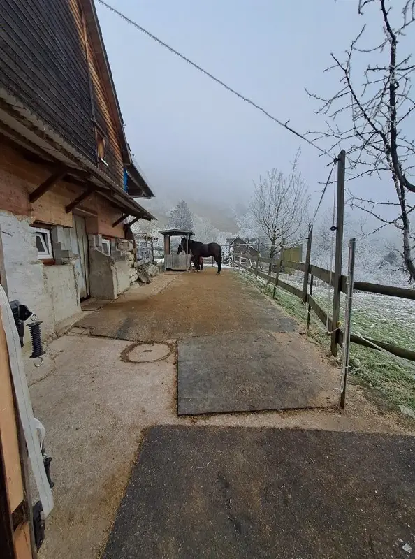 Selbstversorgerstall zu vermieten in Rüthi SG