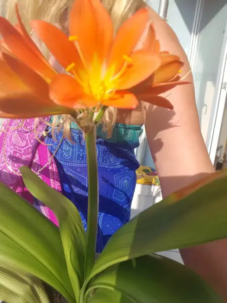 Energie Massage White Tara