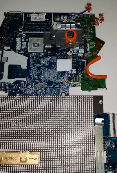 Roboter Frau mit Hund