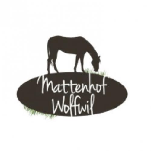 Zucht-, Ausbildungs- und Pensionsstall Mattenhof