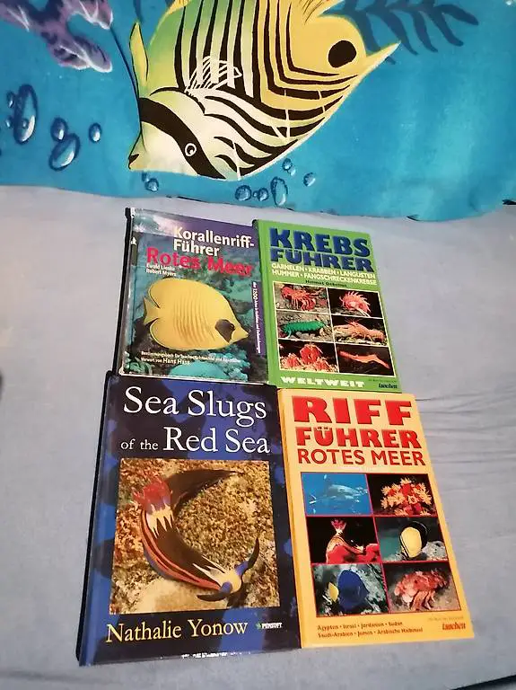 Tauchen Bücher Riffführer 4 Stück
