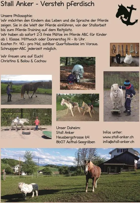 Pferde-ABC & Bodenarbeit für Kinder & Erwachsene im Züri Oberland