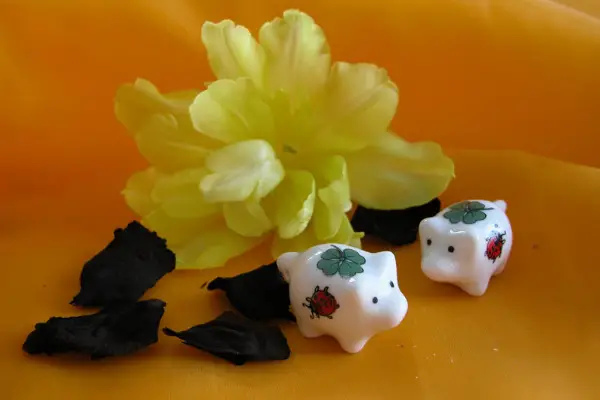 Glückssäule als Geschenk oder eigene Glücksbringer 10 Stück