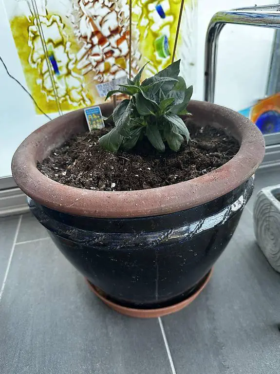 Pflanzkübel, 32 cm, blau