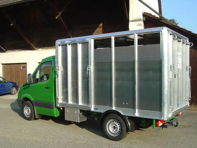 SCHERZ, Viehaufbau, Viehaufbau