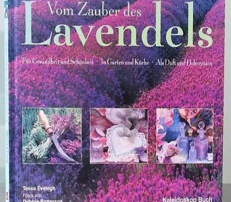 Lavendel