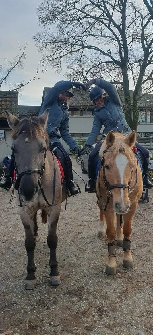 Reiten mit Ponys & (Klein) Pferde in Münsingen