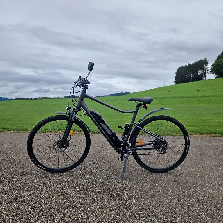 Elektrisches Mountainbike Riverside 520 E