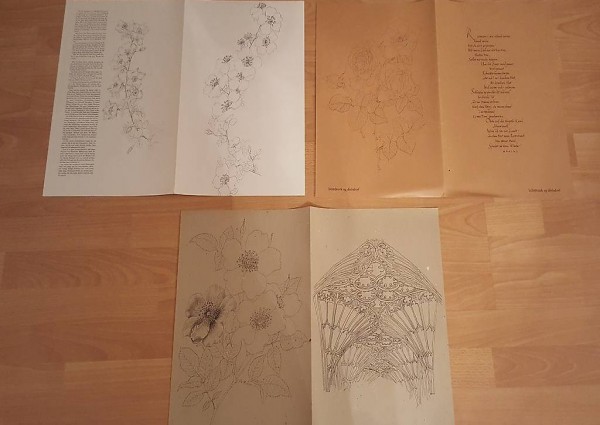 Bilder von Dr. R. Maag - 81 x 27.5 cm - Einzelverkauf