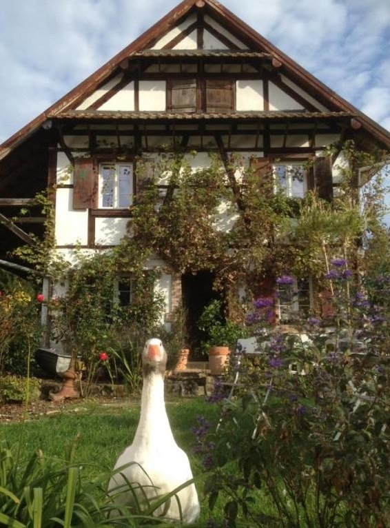 Idyllische Ferienwohnung auf altem Pferdehof im Elsass