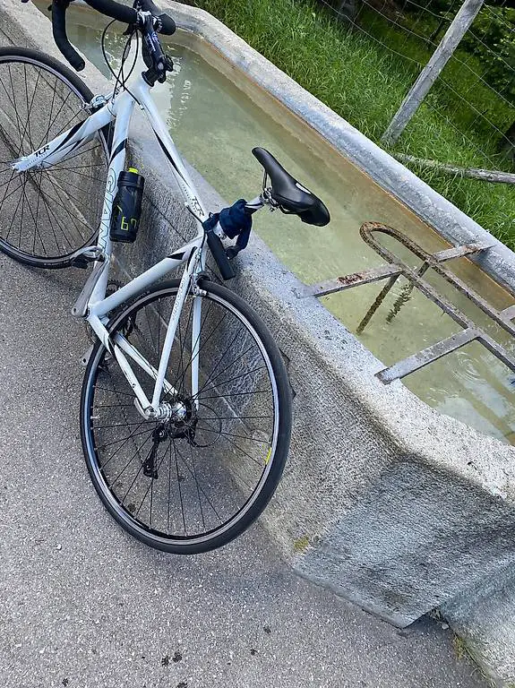 Giant Rennrad RH 52/53cm weiss